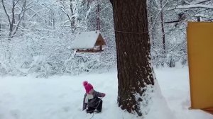 Зимние старты