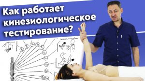 ℹ️ Как работает кинезиология «на понятном»