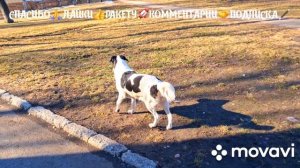 🚀🖋️ ЯТЬ ПОШЛЮ ТЕБЯ,НА ХУТОР БАБОЧЕК ЛОВИТЬ 💃🔥МОИ БУДНИ🖋️🚀