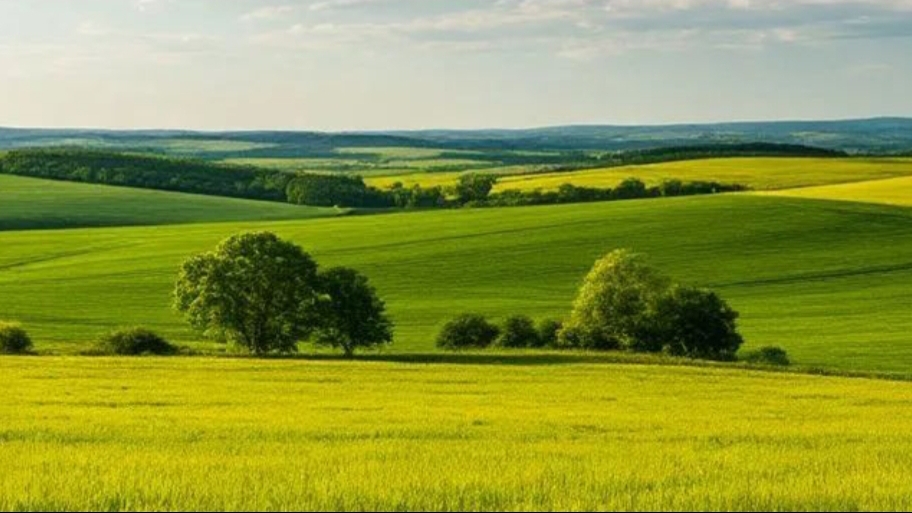 Вот получим диплом