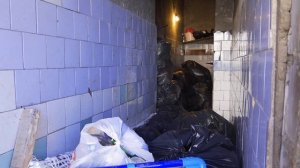 📍НЕ ВЫВОЗЯТ МУСОР