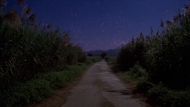 deep atmosphere ⧸⧸ quiet drones for late-night introspection