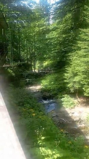 Роза Хутор Сочи #красота
