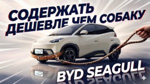 BYD Seagull 🔥Больше 1 000 000 людей его выбрали! Доступный электромобиль. Самый продаваемый хетчбэк
