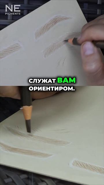 Как сделать волоски живыми и естественными #перманентныймакияж #татуаж #nepigments #еленанечаева