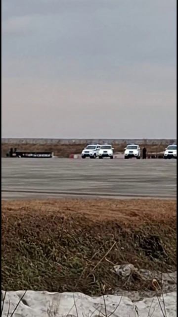 юмор ни свет ни заря