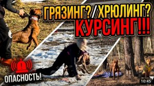 КАК ДВА ПИТБУЛЯ «ЗАЙЦА» ПОСЛЕ ЗИМНЕЙ СПЯЧКИ ЛОВИЛИ 👀 #питбульпеченька #dog #pitbull #new #top #топ
