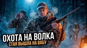 ВОЛКИ НАЧАЛИ ОХОТУ НА НАС. Охота на волка на вабу. Погоня за стаей. Как манить волка?
