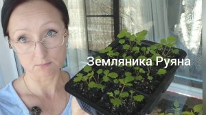 Рассада на 30 марта 2026 года.