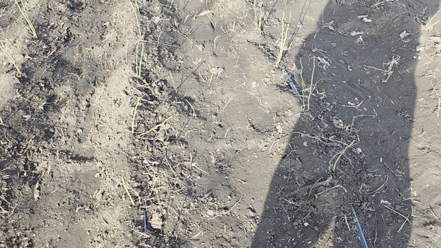 22.03.2026 начинаем новый 2026 год!