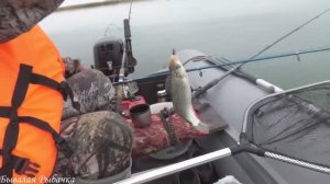 Поймала рыбу из КРАСНОЙ КНИГИ_ Рыбалка на Донки с лодки