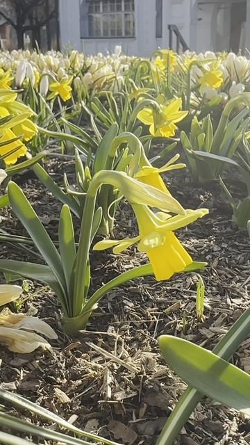 для настроения