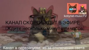Котинет-музыкаТВ (ПЕРЕЗАПУСК)