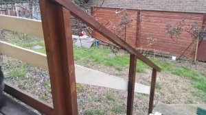 СОЧИ ГОРНОЕ ЛОО ВЕЧЕР 30.03.2026