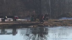 поимка форели на пасту