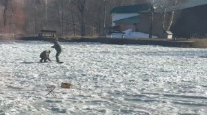 Второй хвост форели со льда в зачете