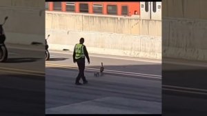 Видео от HackAvto – Лайфхаки и фишки для авто