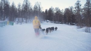 «БЕРИНГИЯ - 2026»