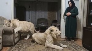 Трогательная история 5.