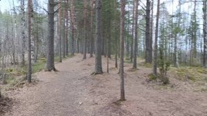 прогулка-болталка)) покупки фикс прайс и Лента))