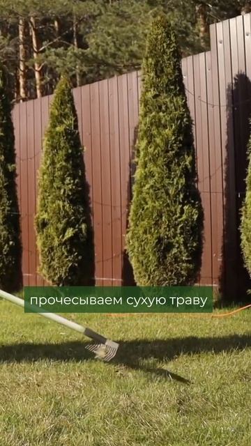 Что делать с газоном, когда растаял снег