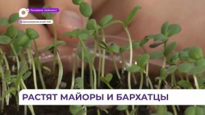 Школьники в Лазо успели прочувствовать, как их труд может украсить мир