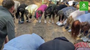 Мастер-класс по актёрской импровизации в музыкальном лагере для взрослых «Виртуозы»