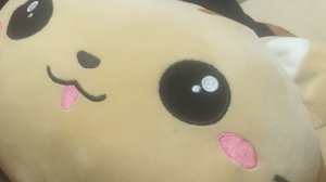 кот батон приехал с моря. и привёз много предметов.