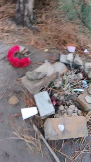 свой собственный домик