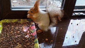 уже не ждали