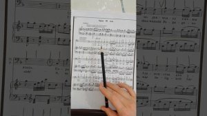 Ария Папагего " Мне надо непременно " - разбор