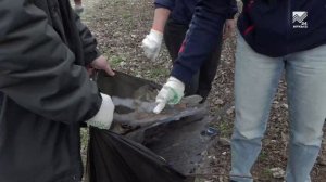 Всероссийский весенний субботник прошел в парке «Зеленый остров»