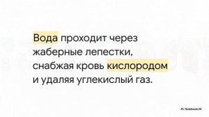 Биология 8 класс параграф 7 Дыхание животных краткий пересказ