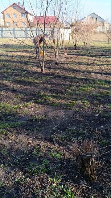 Огородные работы.