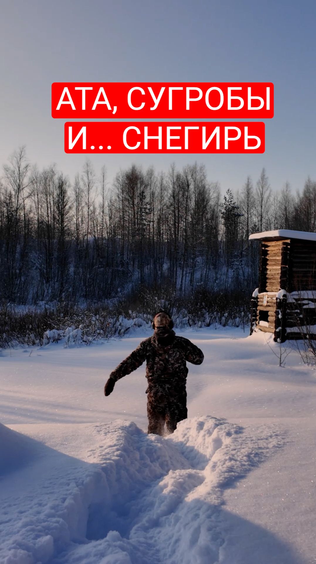 ATA, сугробы и... снегирь.