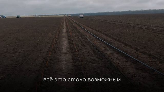 Высаживаем сады для «Садов Ставрополья»