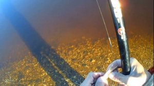 ЛОВЛЯ ПЛОТВЫ И УКЛЕЙКИ РЫБАЛКА НА ПОПЛАВОК С КЛАССНОЙ НАСАДКОЙ ,ЧТО ОНА ТВОРИТ АЖ ДУХ ЗАХВАТЫВАЕТ!