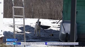 Мусорный коллапс не устраивает жителей улицы Гончарова в Новокузнецке