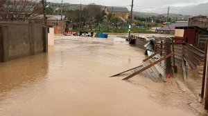 Аномальные ливни в Чечне: под водой сотни домов, разрушены дороги и мосты