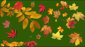 Фон осени 3_encoded