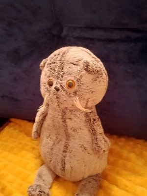 басики ищу какие-то новые яйца