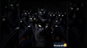 чёрный кот летит