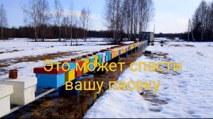 Эта работа ,может спасти вашу пасеку! Пчёлам точно будет хорошо!