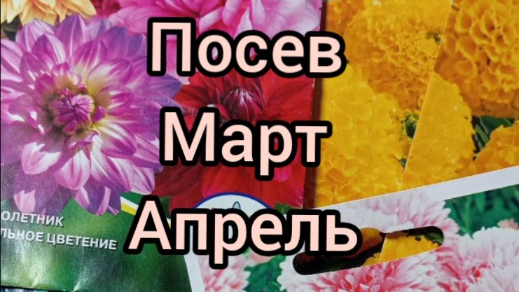 ПОСЕВ ОДНОЛЕТНИКОВ 🌺 МАРТ-АПРЕЛЬ