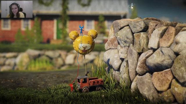 Перевозка котиков