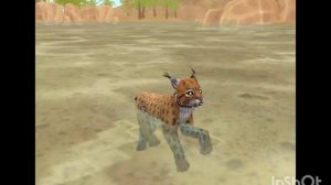 Мини фильм WildCraft "Египетский воин" 2 сезон 1 серия