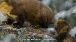 Не сломленная.