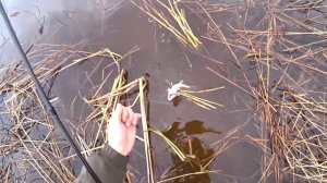 Клёв рыбы на Джиг!