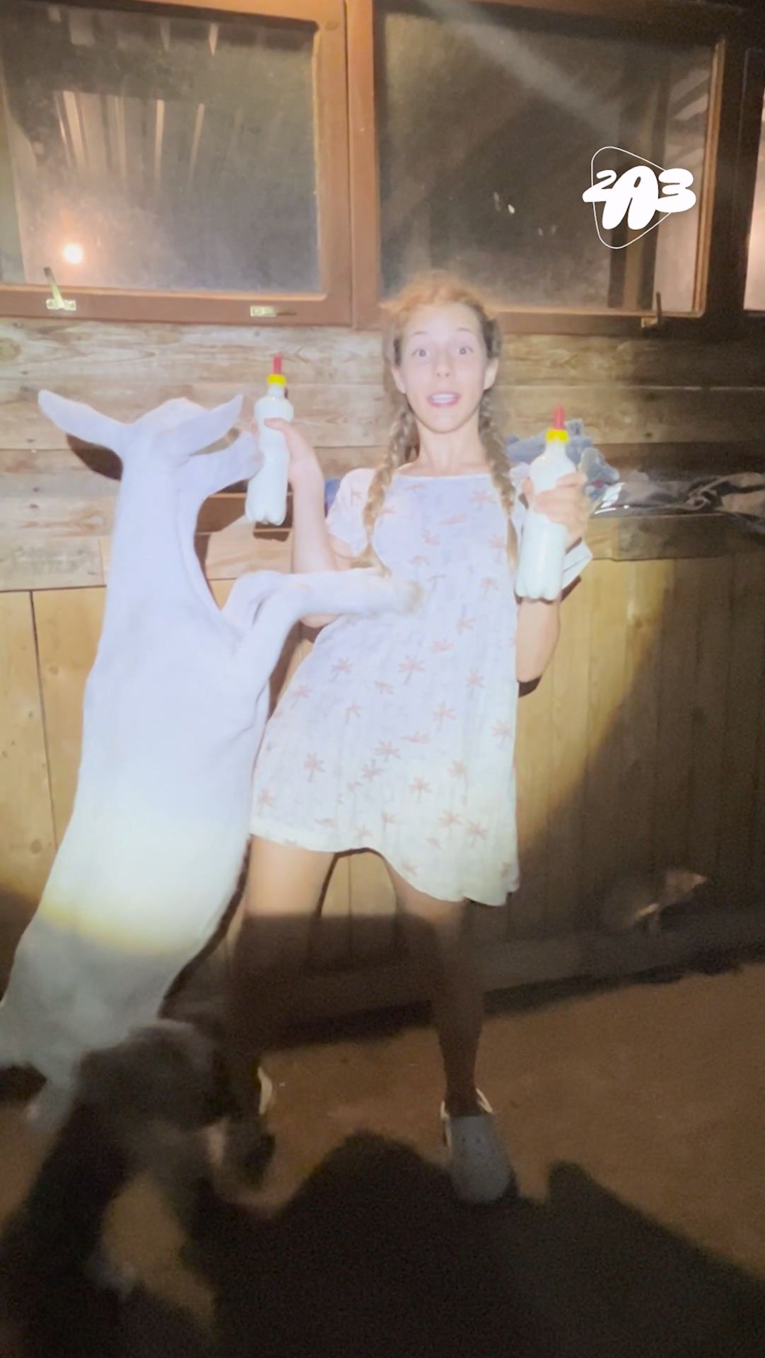 🐐 Мы УСЫНОВИЛИ двух КОЗЛЯТ!