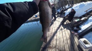 Открытие сезона со спиннингом 2026 форель